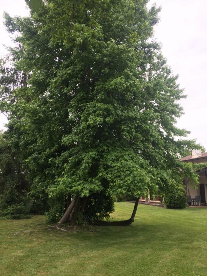 Mariandre Chambre Chez L'Habitant Biscarrosse Bagian luar foto